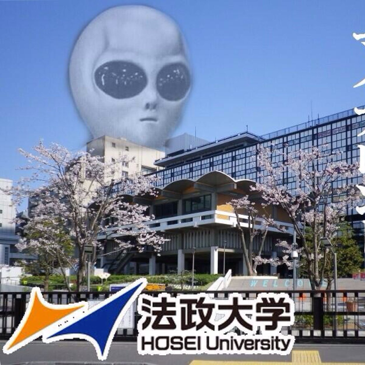 すごい勢いで補正するホウセイマイフレンドです