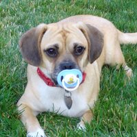 Chad Read (@squirrel74wkgn) 's Twitter Profile