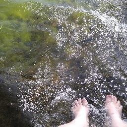 hilavitkuttaja's profile picture. 