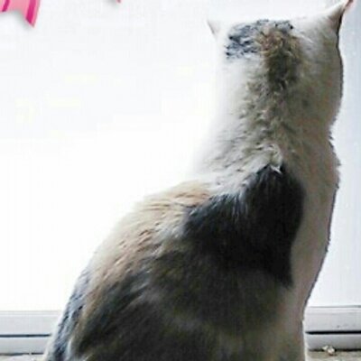 Emi ねじまきなおそう Keibeemike Twitter