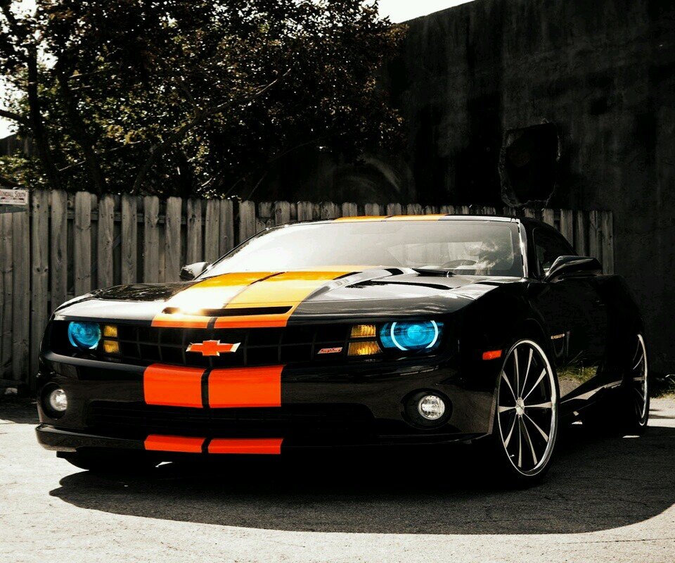 li73389370's profile picture. 