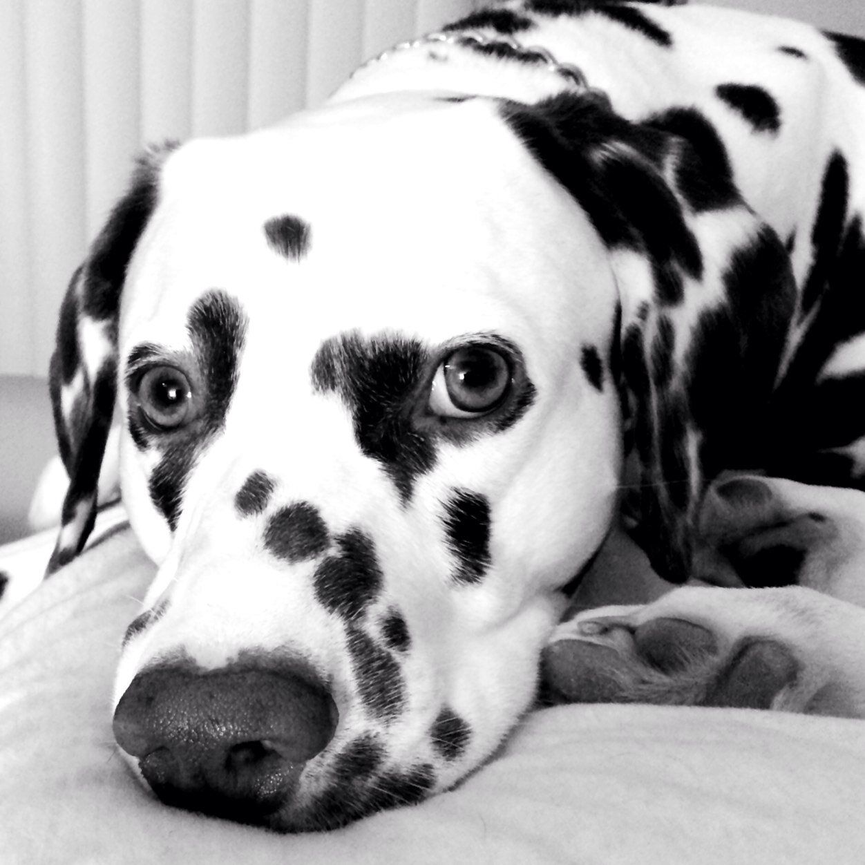 shanaericson12's profile picture. You got to get it while you can. Life is funny.