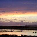 Fiona Neilson - @Thistlechops - Twitter