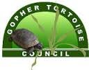 GTCouncil's profile picture. Dedicated to conserving the gopher tortoise and the habitat in which it lives.