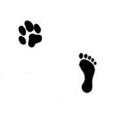 Love♡ Peace ☮ Action ☼ 4 Animals εїз