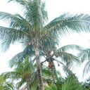 Sonja Coates - @sonja_coates - Twitter