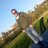 FinsPf's profile image