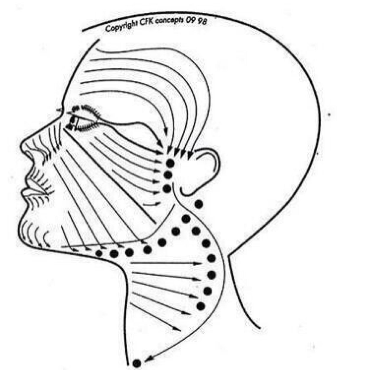 _noapi's profile picture. 