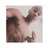 JayLes_'s profile image