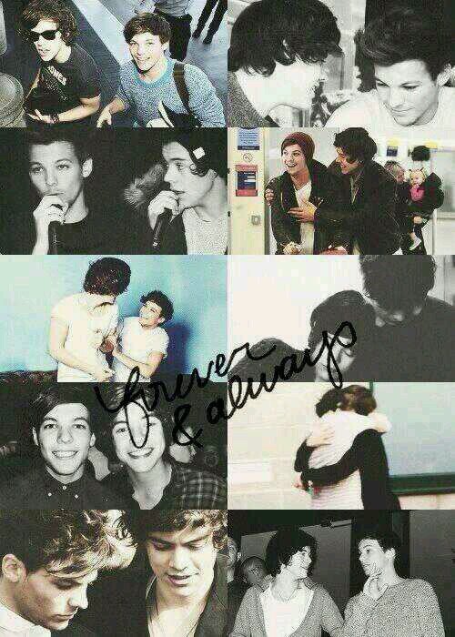 LStylinson_10's profile picture. || Sometimes all you need is 20 seconds of insane courage. 20 seconds of embarrassing bravery. || 

Directioner. Larry Stylinson, Larry Shipper.