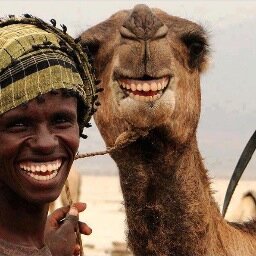 PierFabioMazzoc's profile picture. 