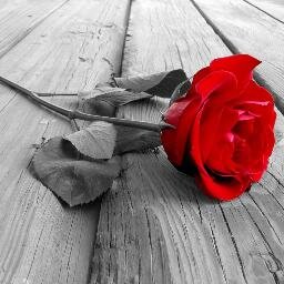Stay Lokey. No Regrets. Will Love You ! Always. Esek  Hopkins. Love & Trust always Needed.... Nevr Forget Tht!!!!  100% All the way! 3