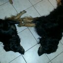 Patricia Stark - @PattyStark1987 - Twitter