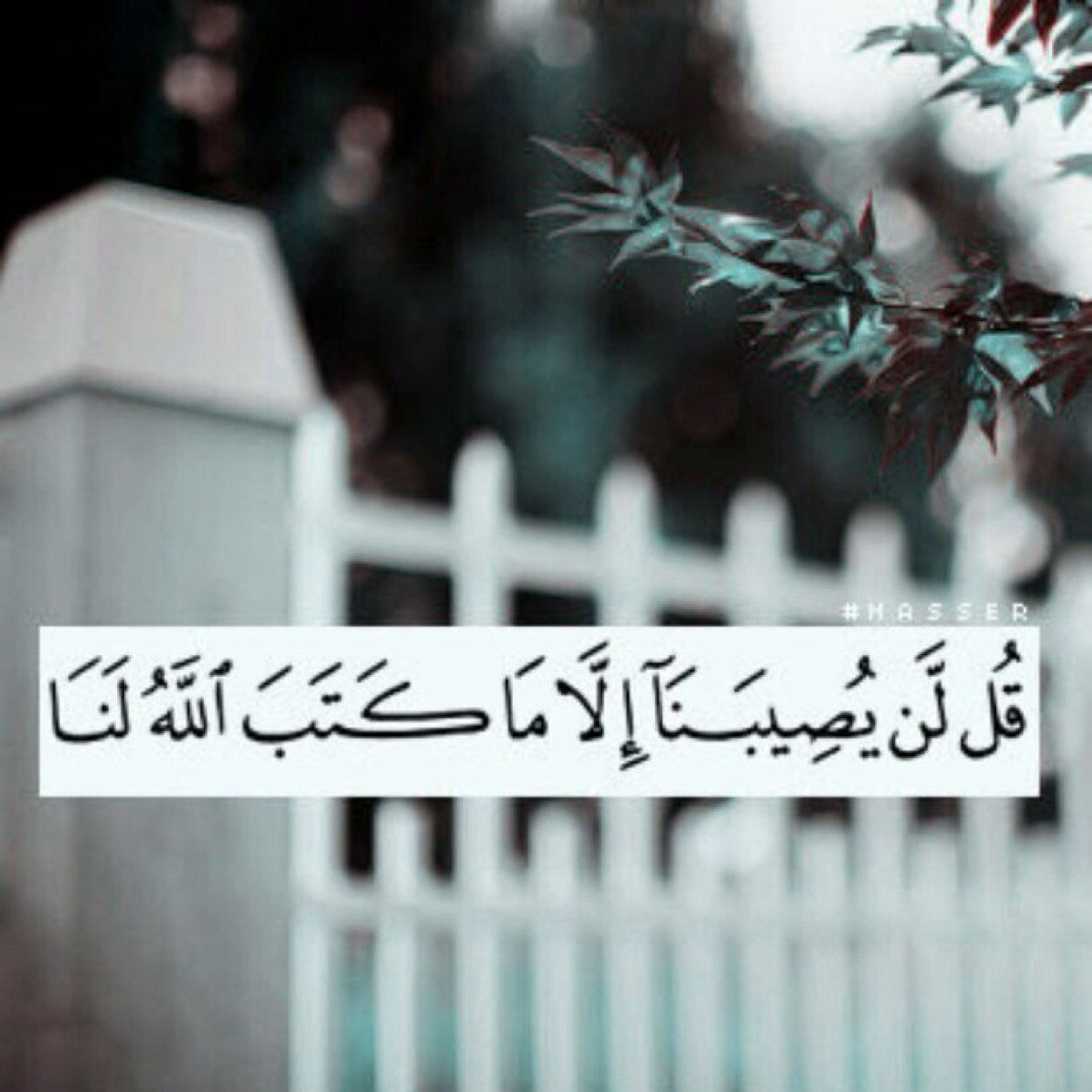 هذا الحساب صدقة جارية للمغفور له بأذن الله #قاسم_محمد_الجبرين