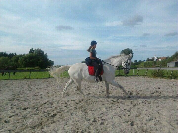 like a whale :D