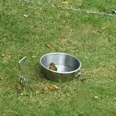 howardwinnard's profile picture. 