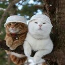 Mirtha Martin - @xiezjib27 - Twitter