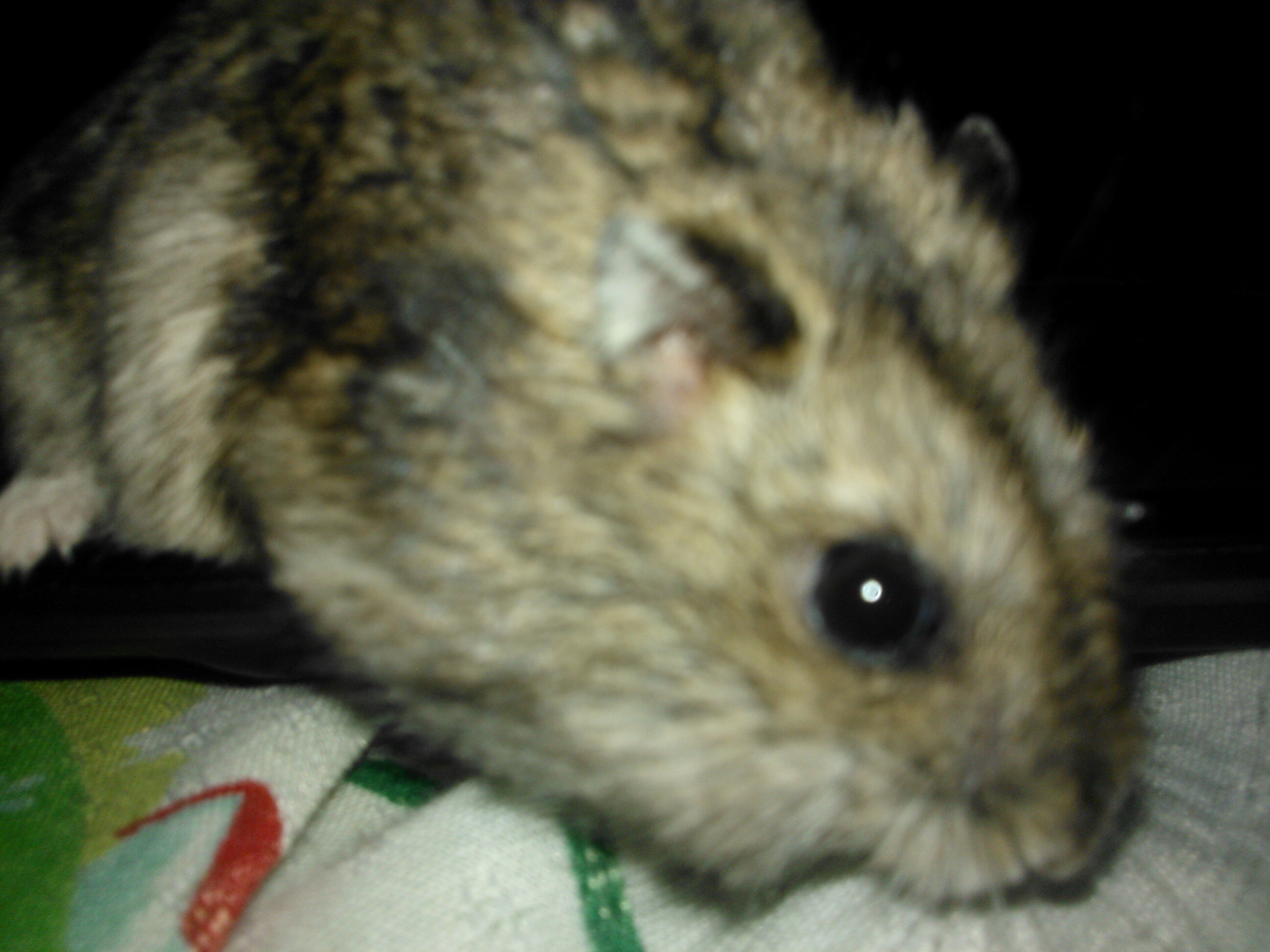 EversClei's profile picture. 