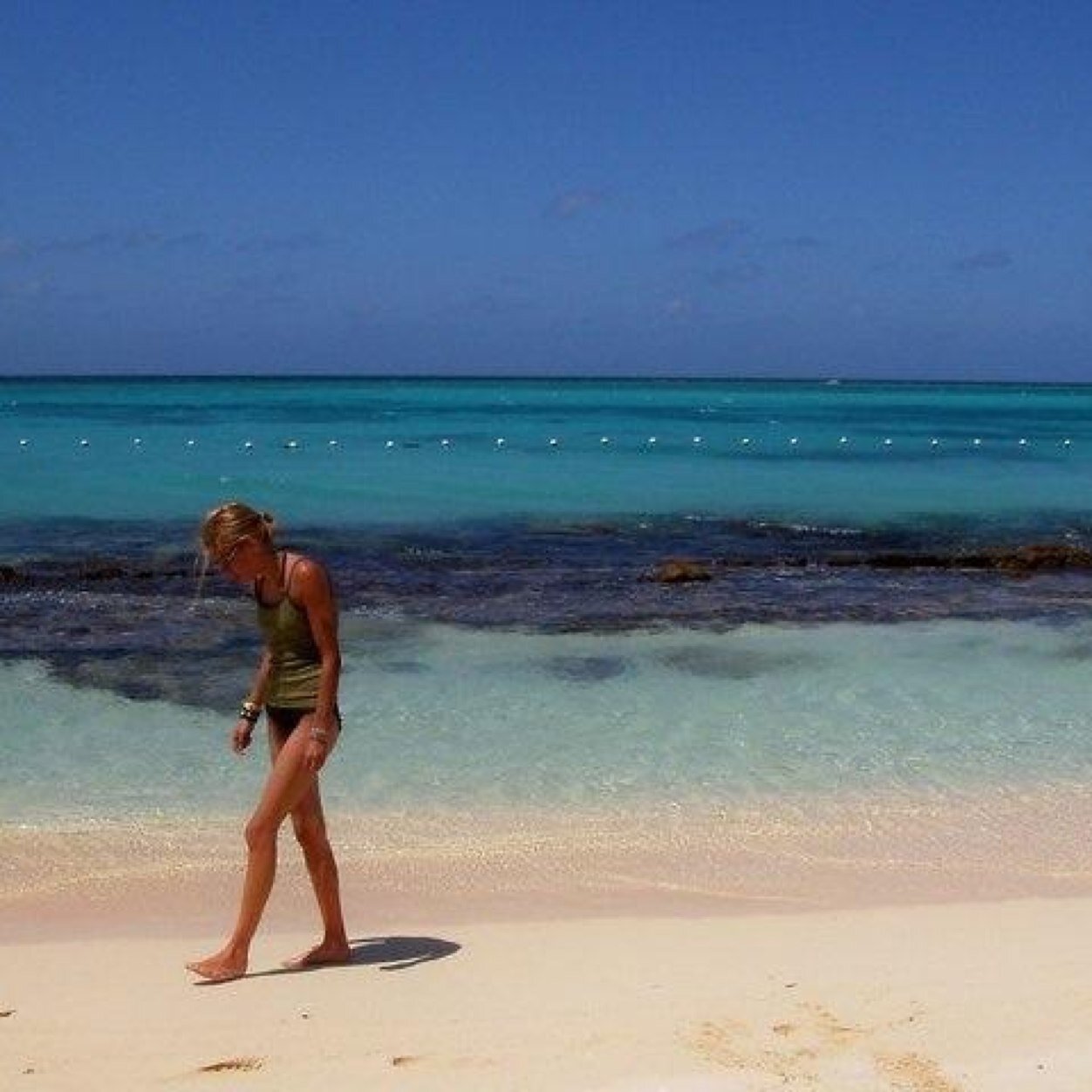 jilliandemille's profile picture. Commercial Painter, Entrepreneur, Devoutly Liberal, Athiest, Artist, Animal Rights Activist, Gardner, Outdoor Inthusiast and Proud Canadian!!!