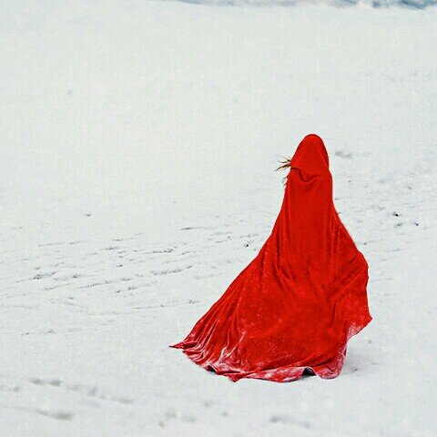 وطنٌ أبيَض ♡