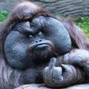 Steven Moorhead - @Steven_Moorhead - Twitter