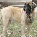 Patrick Junker - @PJ2412 - Twitter