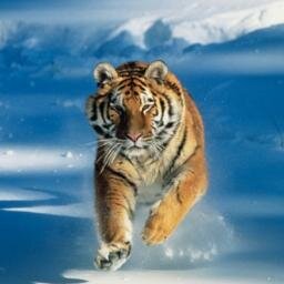 Oterem's profile picture. Passionné de Nouvelles Technologies