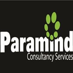 Paramind Consultancy Services, is a Mexican Information Technology Services company providing a full spectrum of IT Services in the Latin American marketplace