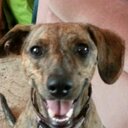 Lynn Knott - @Lynn1572Knott - Twitter