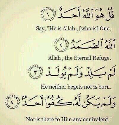 nvibc15's profile picture. 