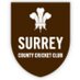Surrey Women Cricket (@surreyladies) Twitter profile photo Surrey Women Cricket (@surreyladies) Twitter profile photo