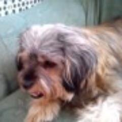 Una Perrita De 3 Años.
Sigueme y apoyame.
Yo lo valgo a tomar por culo.