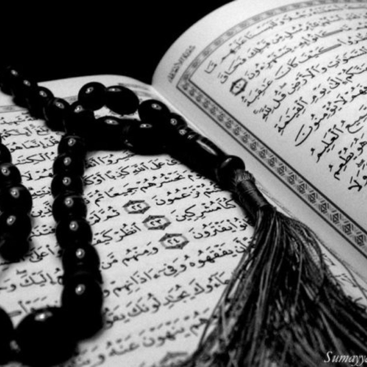 fatimah_mansoor's profile picture. Islam. | Slave of Allah. | muslimah. | Alhamdulilaah for everything. | destination Jannah Inshallah.| new account, feel free to follow. I follow back.☺️