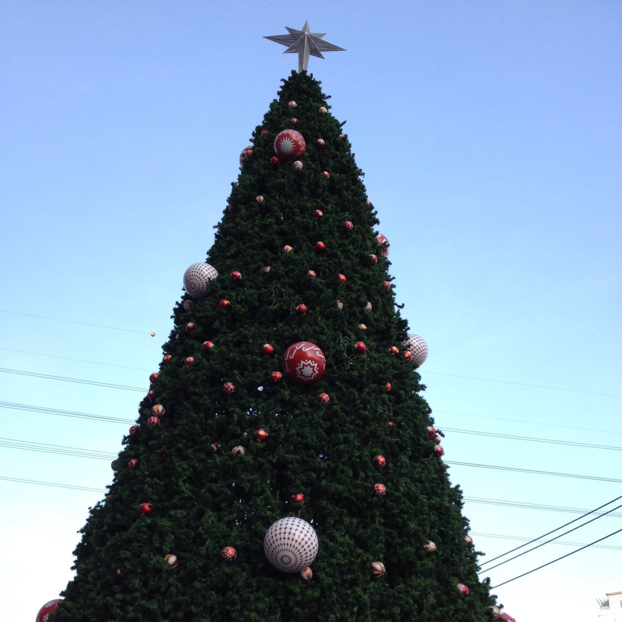 PsycheZzii's profile picture. :D