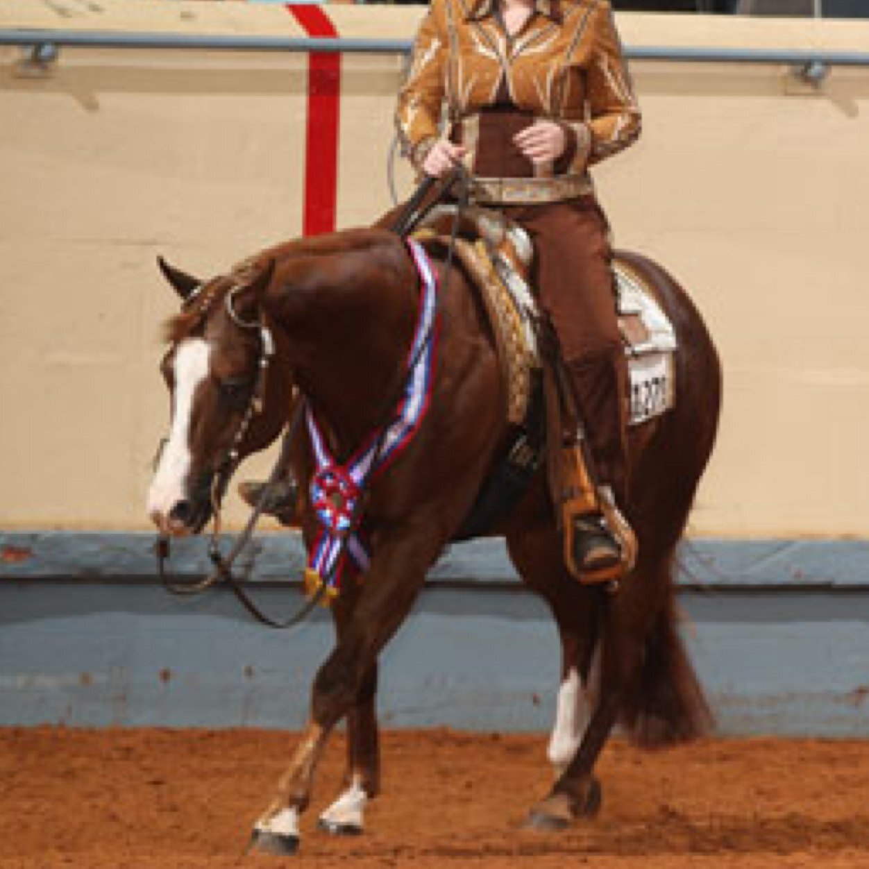 an open show enthusiast, quarter horse fan, and 'cute jog' lover. i usually say woah to inanimate objects and cluck to make them move.