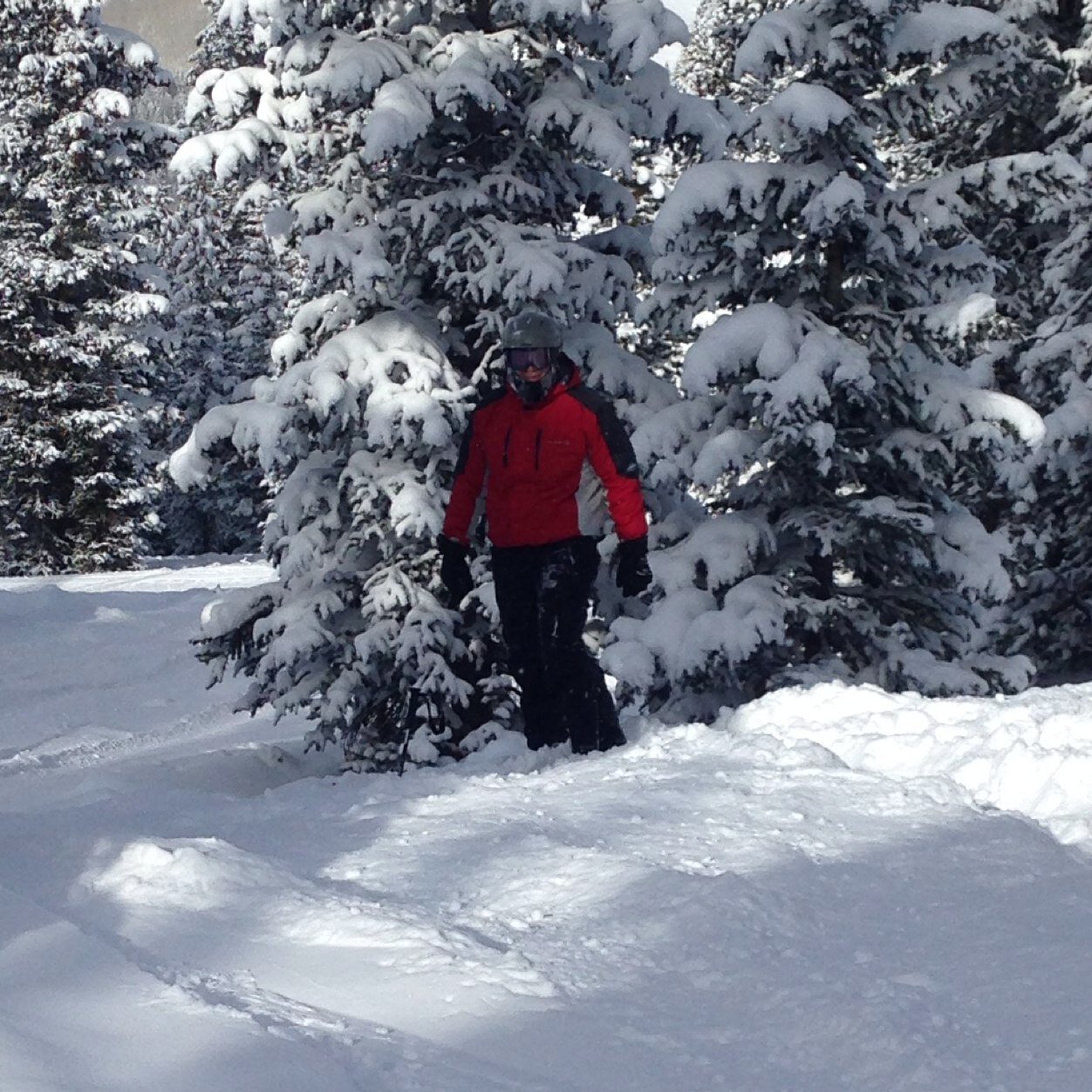 jeremychase49's profile picture. 