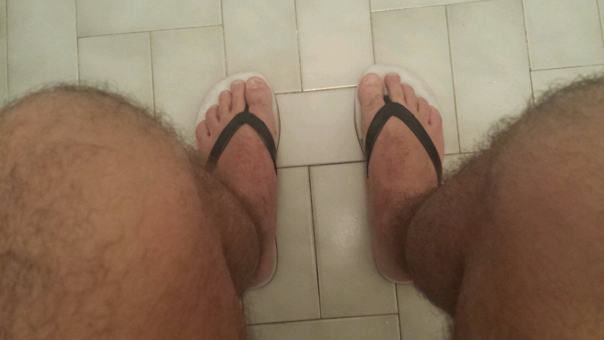 italmtl's profile picture. io