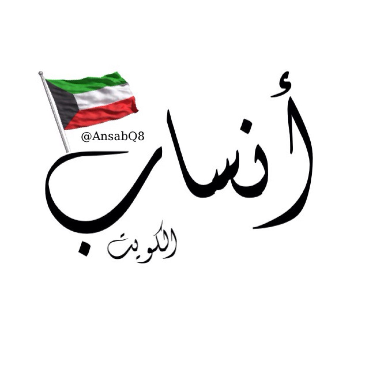 AnsabQ8 Profile Picture
