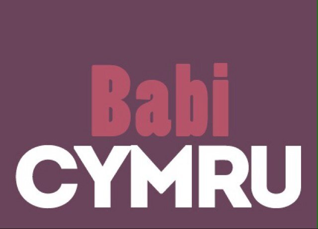 Some of South Wales' best recommended activities for babies, toddlers and you!
#BabiCymru