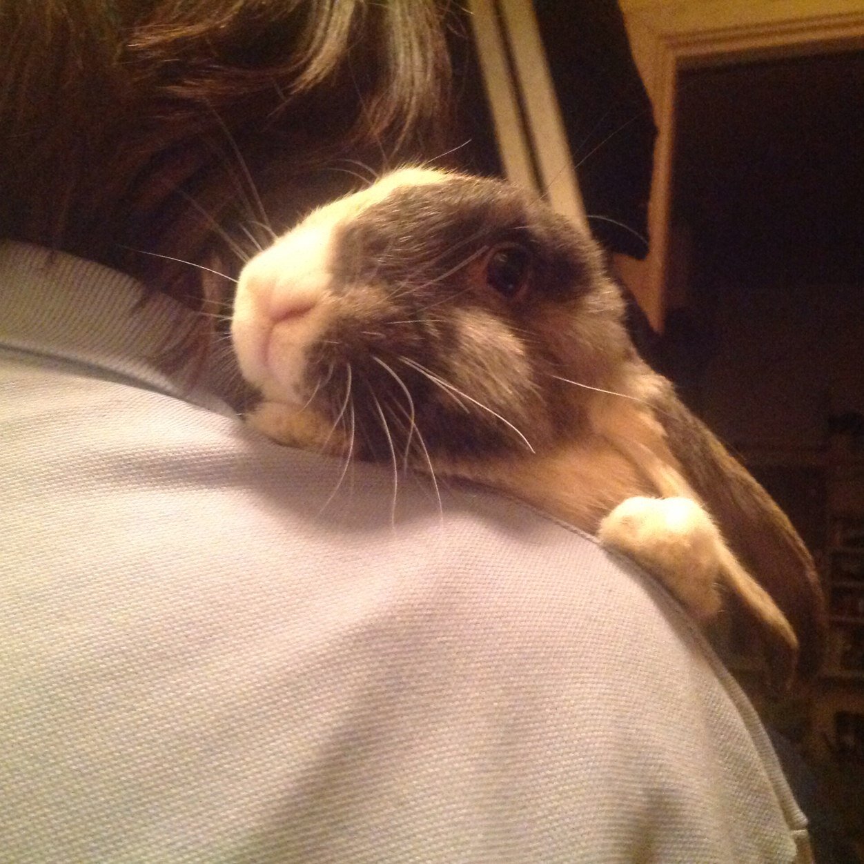 buddy_clyde Profile Picture