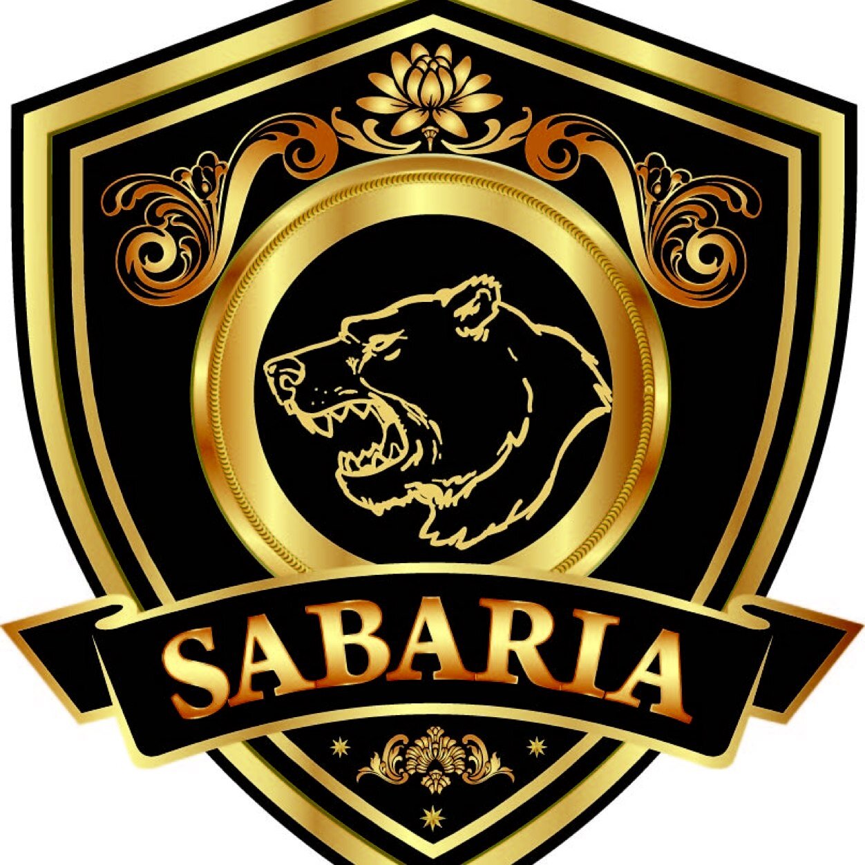 Sabaria School of Weightlifting; Mississauga-based weightlifting club; https://t.co/ZptOPFr2Bs