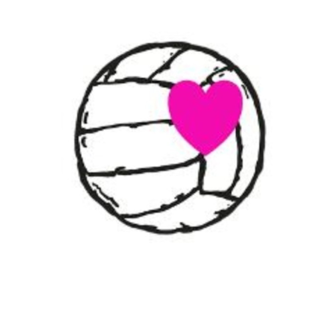 For the love of volleyball