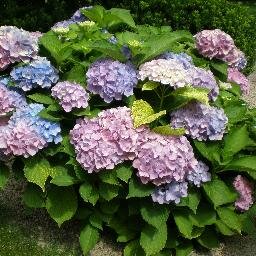 SadovnikVitalij's profile picture. 