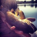 Daniel Byrnes - @beer_trout - Twitter