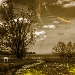 stickmember's profile picture. 