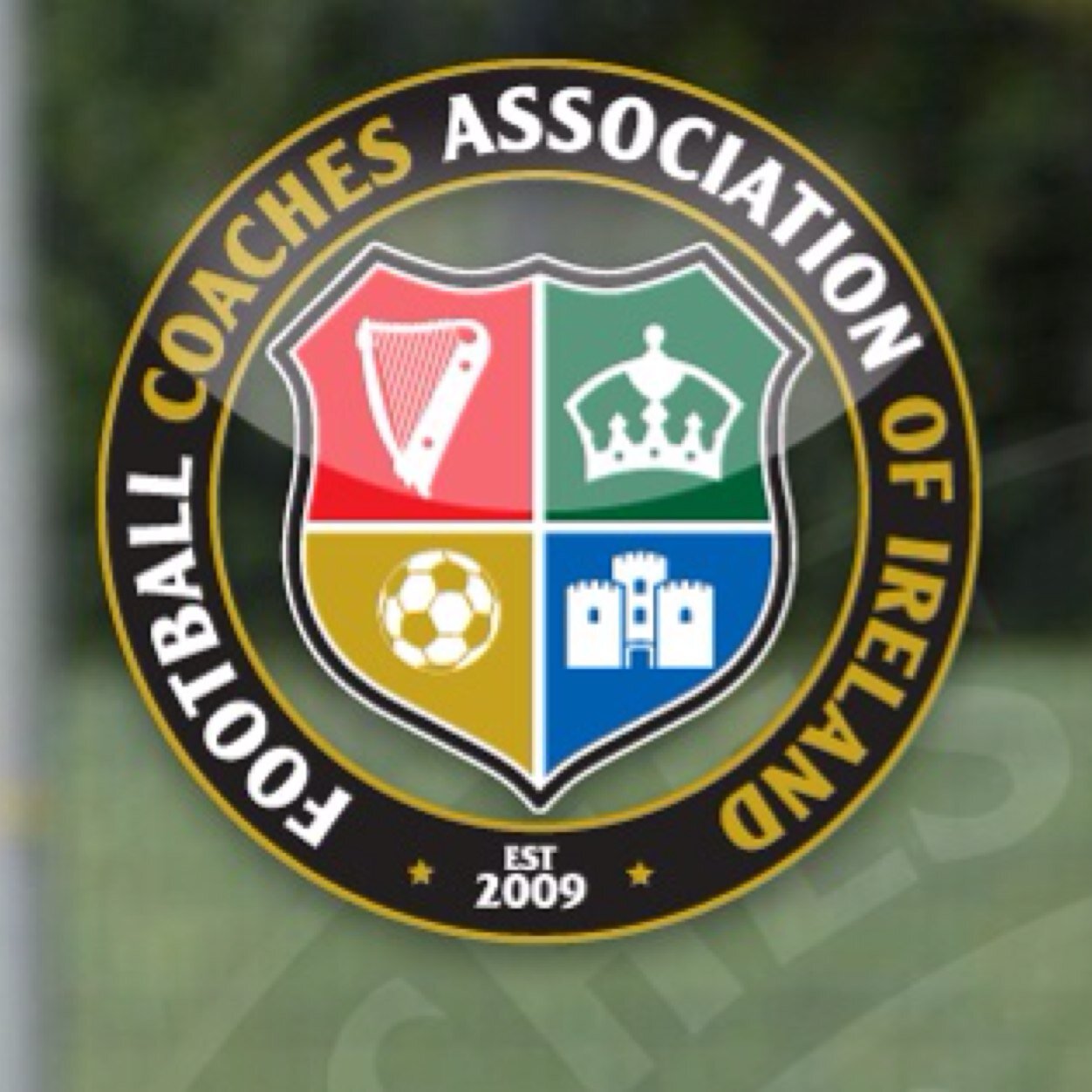 The Football Coaches Association of Ireland providing coach education & player development in partnership with AJAX Online Academy
