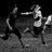 Michelle_W_L's profile image