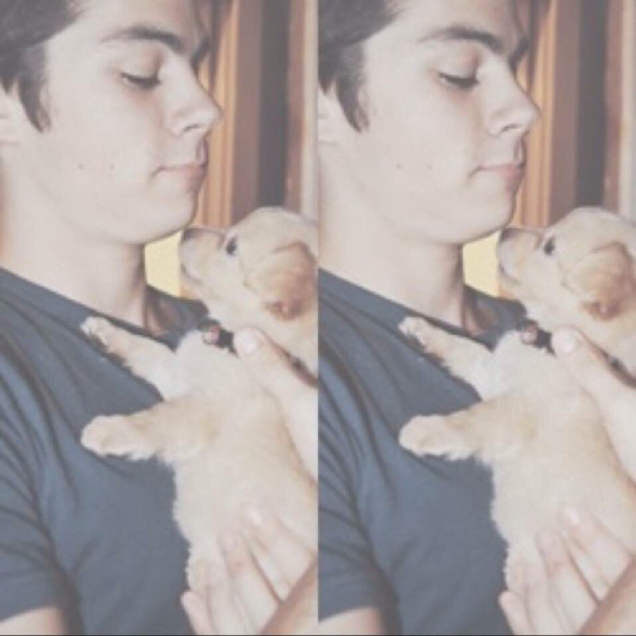 i just gave you a free follow so pls follow @puredylans and @arianafleecy tysm ♡