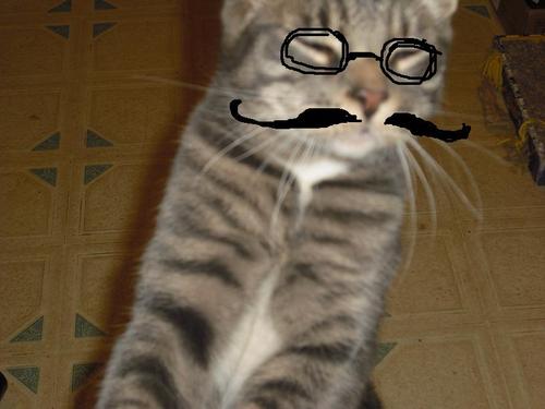 mrWickedClaws's profile picture. FOLLOW ME if you would like to exchange SPYMASTERS. (non-spymaster players will be bounced)