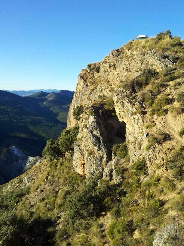 FranciscoCsdo's profile picture. 